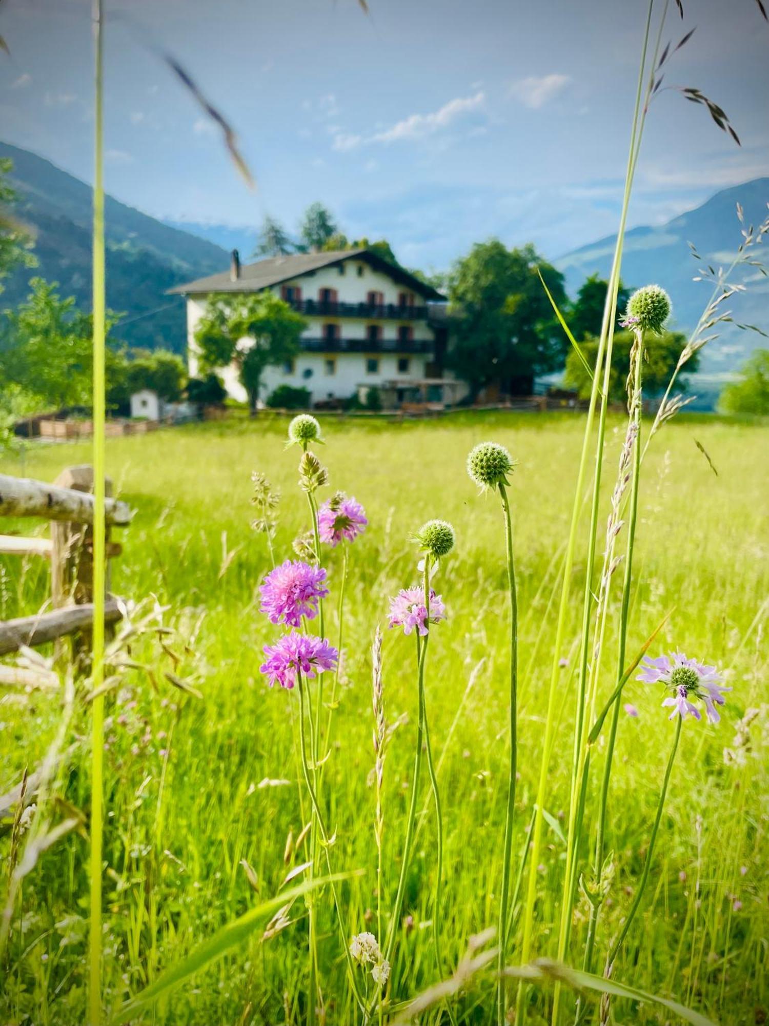 Plasur - Apartement Bella Vista Montechiaro Lichtenberg Exteriér fotografie