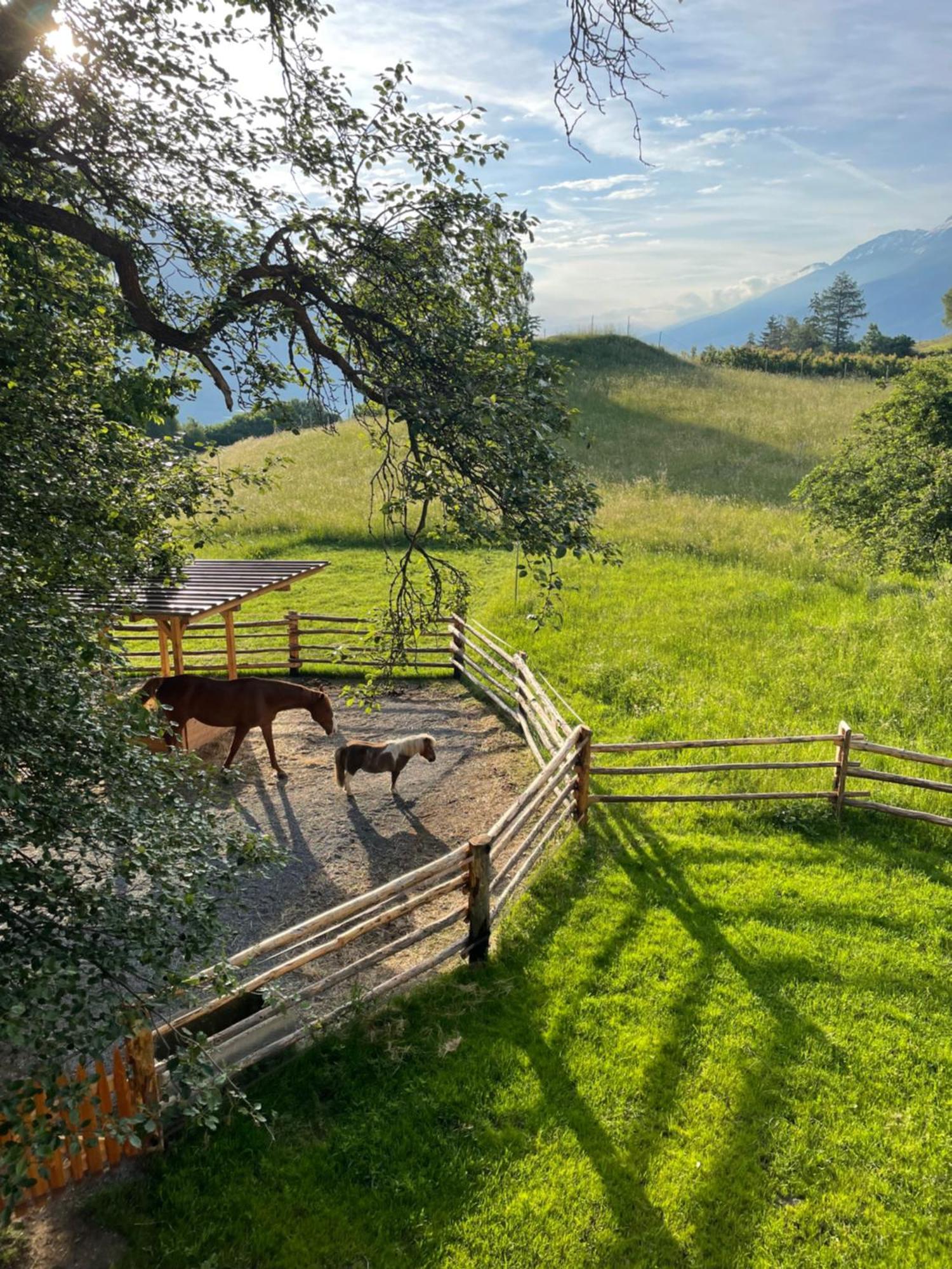 Plasur - Apartement Bella Vista Montechiaro Lichtenberg Exteriér fotografie